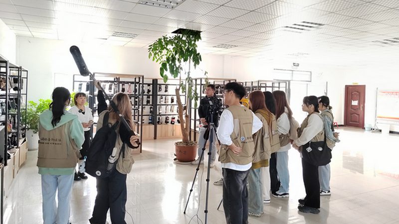 科技公司VI设计报价：揭秘标准背后的考量**